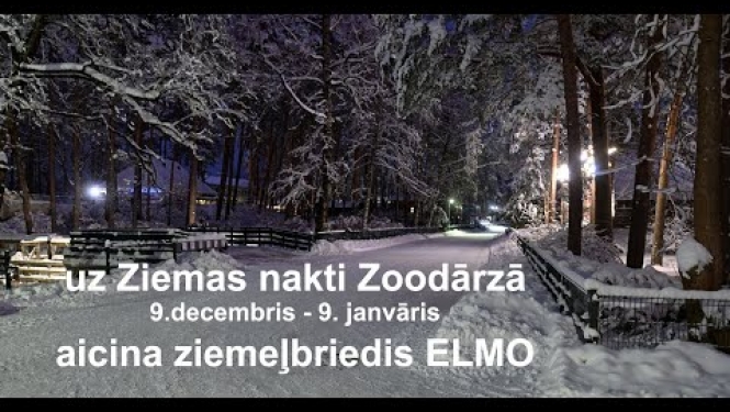 RigaZOO Ziemas Naktis klāt