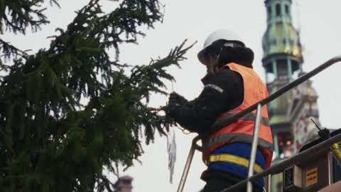 Rīgas galvenā svētku eglīte