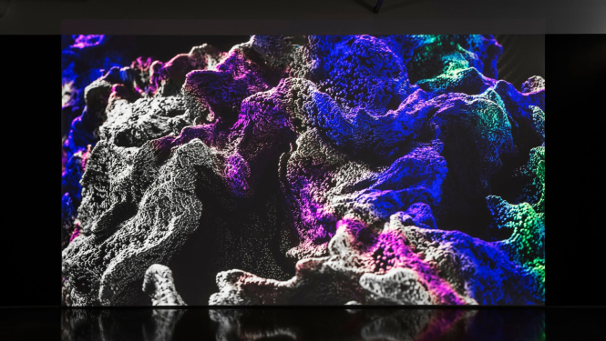 Lesja Vasiļčenko (UANO)