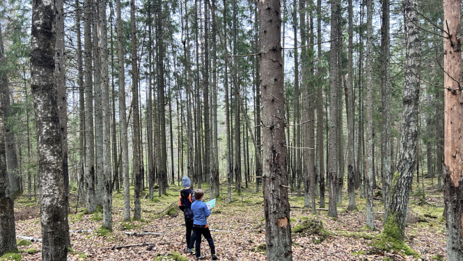 Cilvēki mežā orientējas