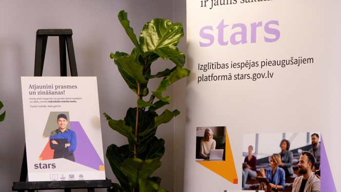 Pieaugušo izglītība, vizuāļi