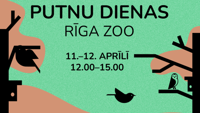 Putnu dienas vizuālis