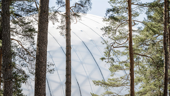 Mežaparka estrādes kupols