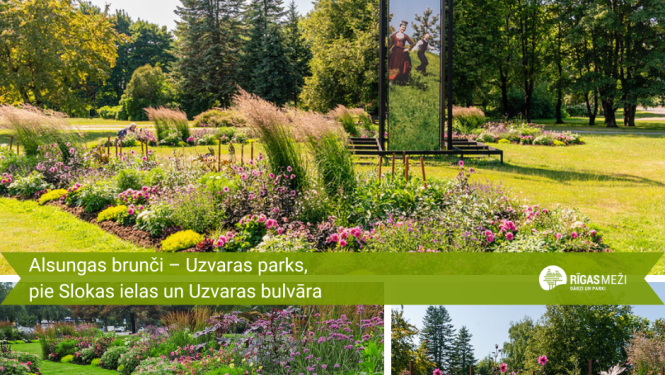 Alsungas brunču krāsu un rakstu dobe