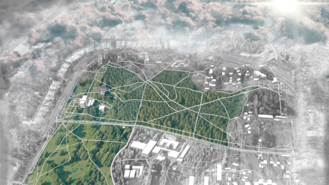 Anniņmuižas mežaparks