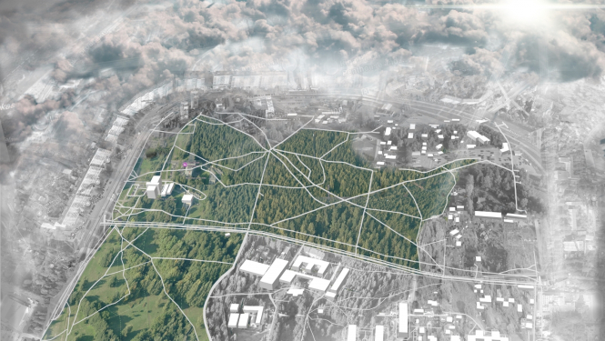 Anniņmuižas parka teritorija no augšas