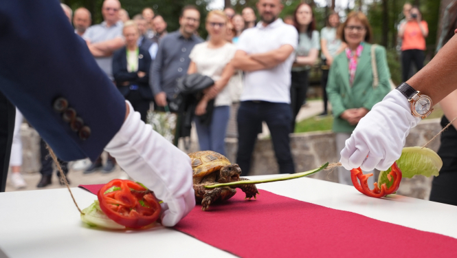 Atklāšanas lenti pārkož Rīga ZOO Zinātnes un izglītības nodaļas četrkājainais sugu vēstnesis – Vidusāzijas bruņurupucis Paija