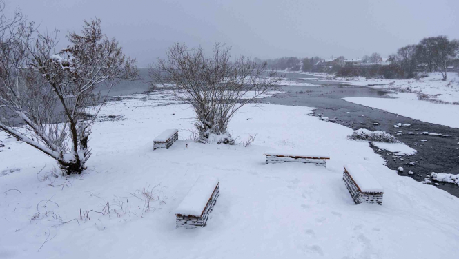 Atpūtas vieta Dārziņos