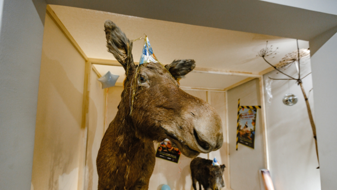 Alnis ar cepurīti galvā