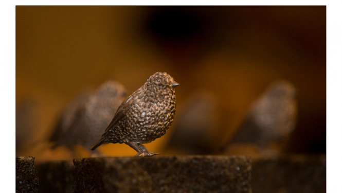 Balva Baltais zvirbulis