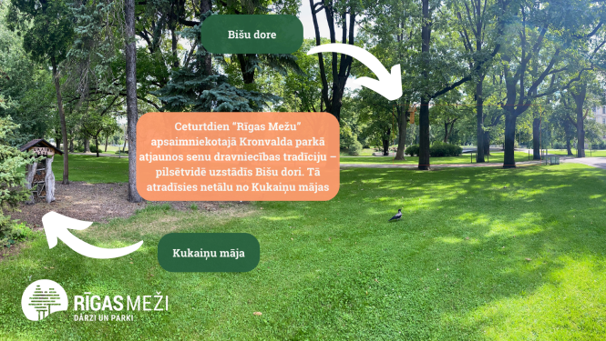 Bišu dore Kronvalda parkā