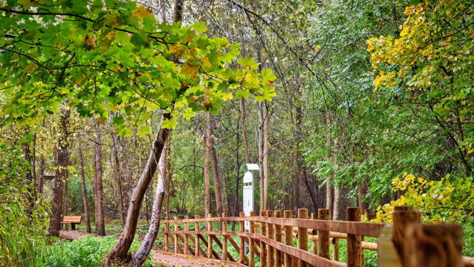 Bukultu pastaigu taka