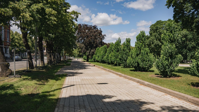 Celiņu bruģēšana Esplanādē