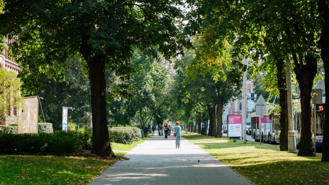 Cilvēki iet pa ielu