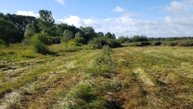 Dabas liegums "Daugavgrīva"