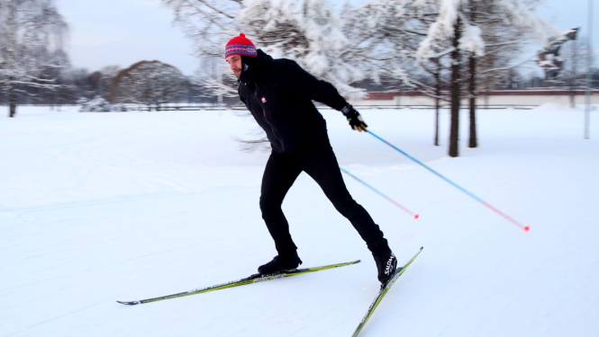 Disatnču slēpotājs