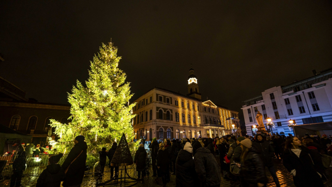 Iedegta Ziemassvētku egle Rātslaukumā