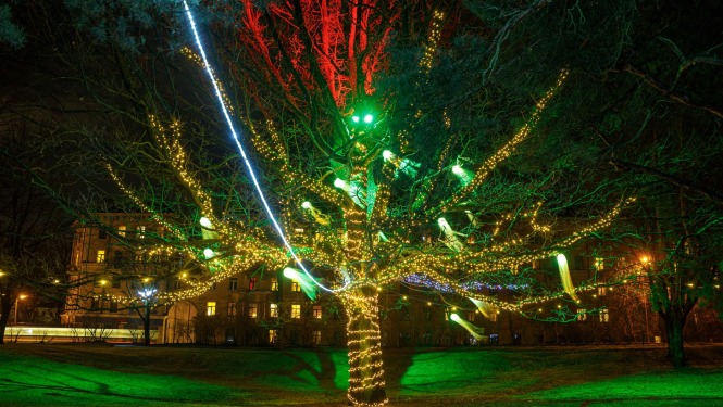 Parks Sarkandaugavā