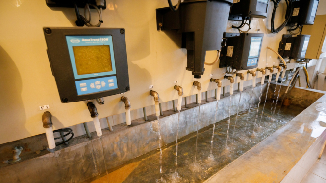 Ūdens paraugu ņemšanas vieta Ūdens sagatavošanas stacijā “Daugava”.