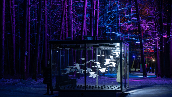 Stikla būrī izgaismoti putni