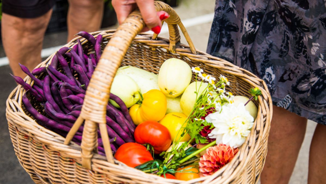 Grozs ar dārzeņiem