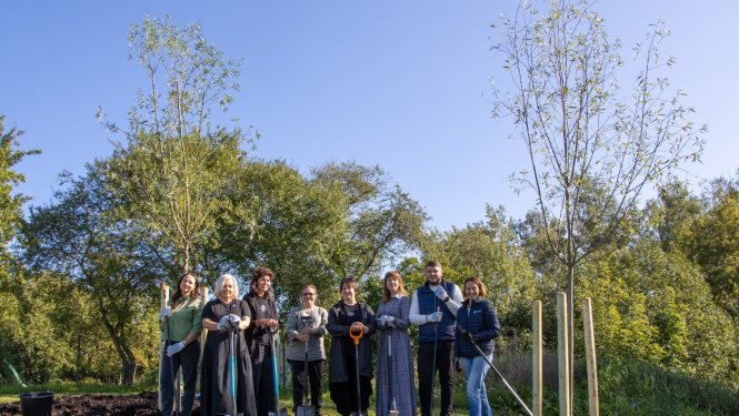 Cilvēki stāv pie iestādītiem vītoliem