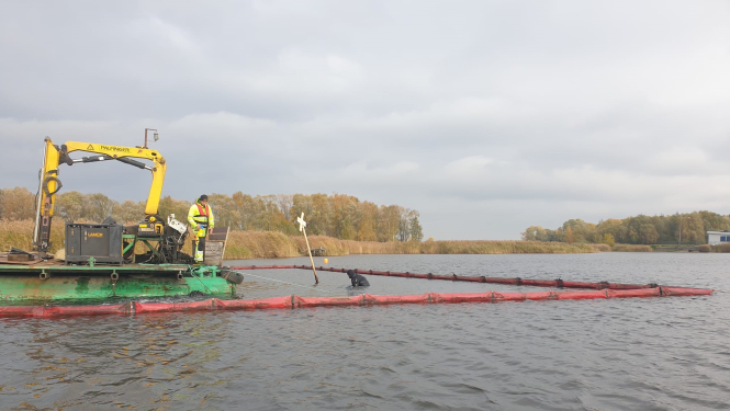 Ūdens līdējs nirst ūdenī