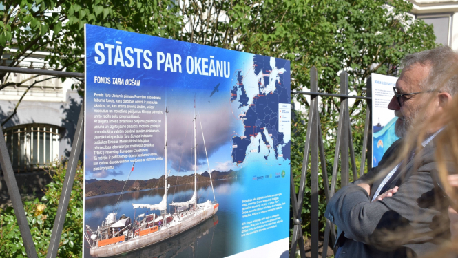 Cilvēks apskatās izstādes darbus