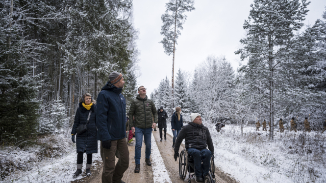 Izvēlas Ziemassvētku egli