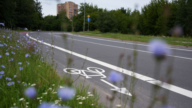 Velo josla Ezermalas ielā