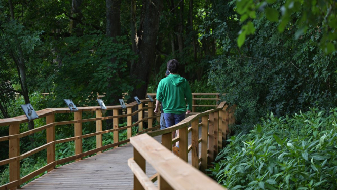 Juglas pastaigu taka