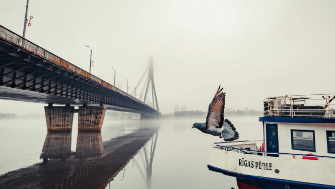 "Rīgas pērle", foto Kaspars Teilāns