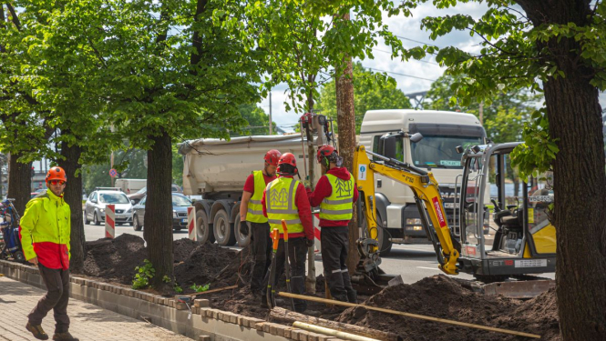 Saglabā kokus 11.Novembra krastmalā