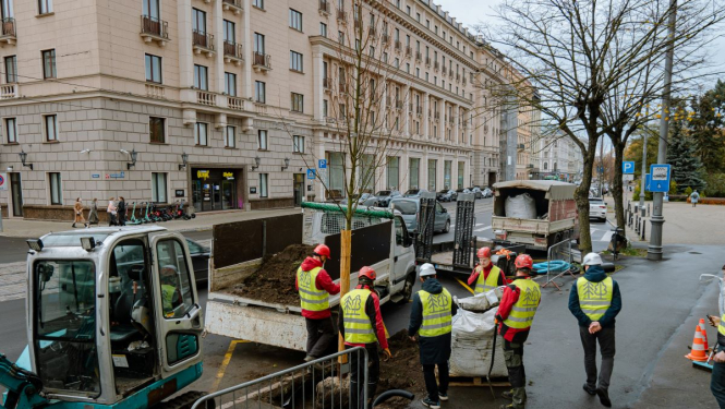 Koku stādīšana rudenī