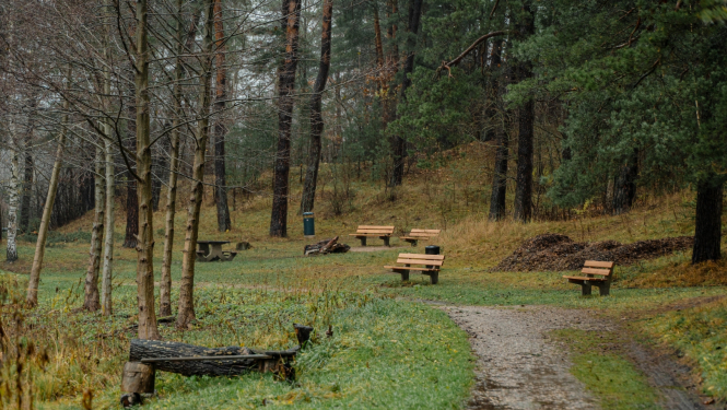 Atpūtas soliņi mežā