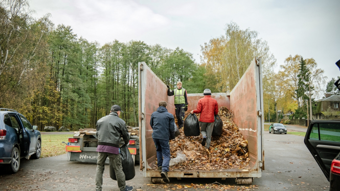 Nodod savāktās koku lapas