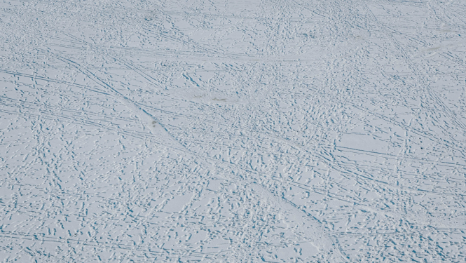 Ledus ar cilvēku pēdu nospiedumiem