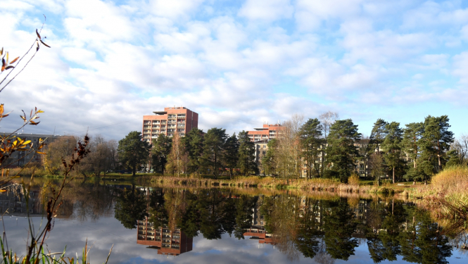 Velnezers un daudzdzīvokļu mājas