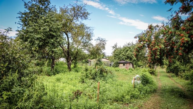 Mazdārziņu teritorija