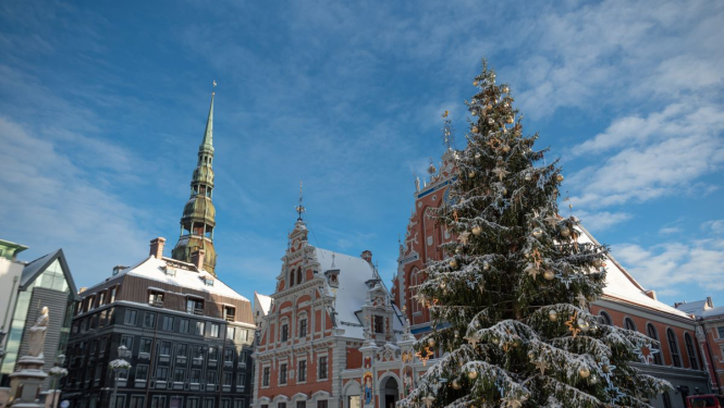 Melngalvju nams un Ziemassvētku egle