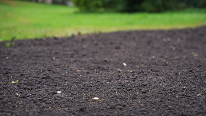 Melnzeme izlīdzināta