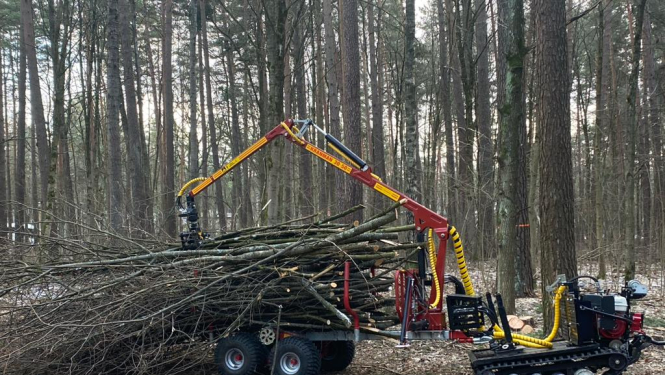 Piekabē krāmē kokus