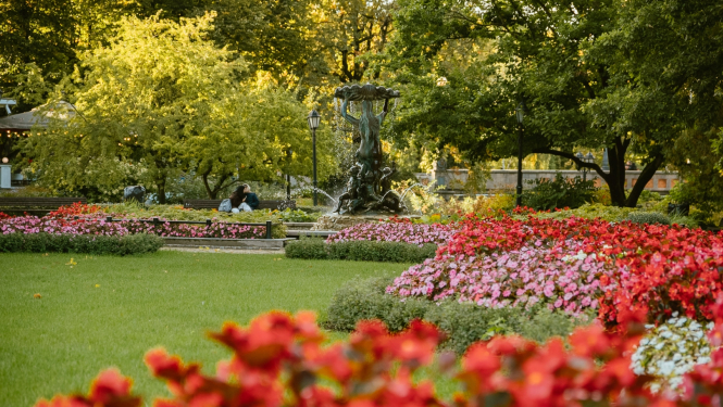 Operas strūklaka ziedi