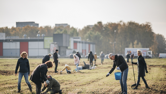 Ierīko pļavu Dreiliņkalna pakājē