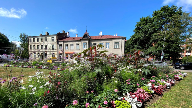 Puķu dobe Kuldīgas ielā