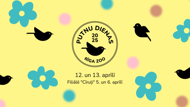 Putnu dienu vizuālis