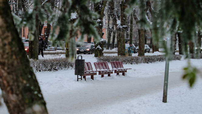 Parks ar soliņiem ziemā