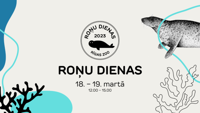 Roņu dienas Rīgas zoo