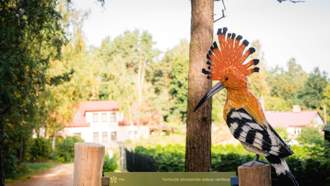 Pupuķa koka figūra