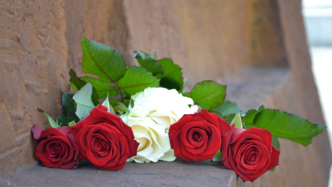 Sarkanbaltsarkanas rozes